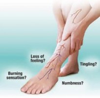 https://worldgymdiet.com/nerve-control-911/