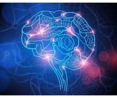 Vito Brain Booster @>>> http://www.fitnespharma.com/vito-brain/