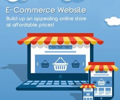 Web Design Company In India