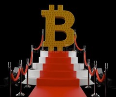 https://www.cryptoerapro.com/bitcoin-champion/