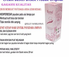 https://www.bustel.net/