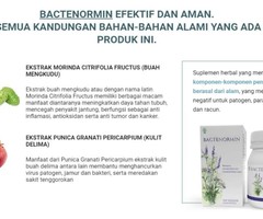 Bactenormin harga