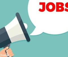 Need Candidates for full time Back office Work.