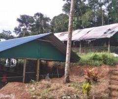 1300 ft² – 1.25 acre poultry farm with 3BHK for sale - Image 2