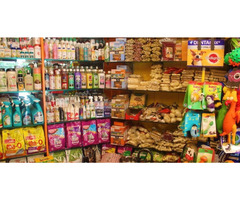 Pets Suppliers in Delhi - Image 4