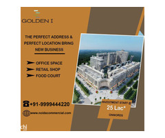 Golden Eye Project, Golden i Project Owner - Image 5