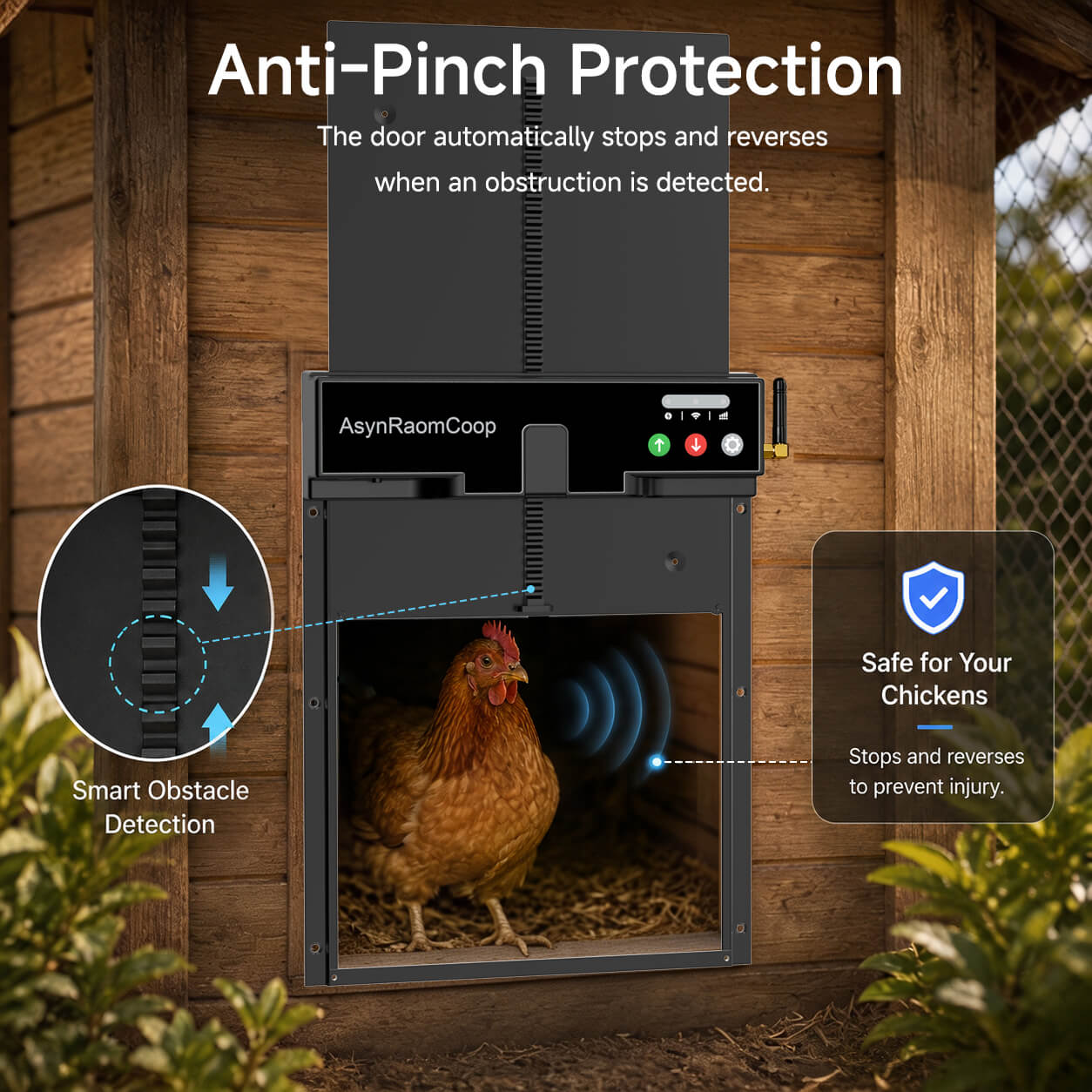AsynRoamCoop chicken coop door feature anti-pinch mechanism, protect your birds AsynRoamCoop chicken coop door feature anti-pinch mechanism, protect your birds
