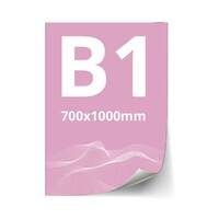 PRINT Backlit Film mat B1 (700 x 1000 mm), pentru casete luminoase.