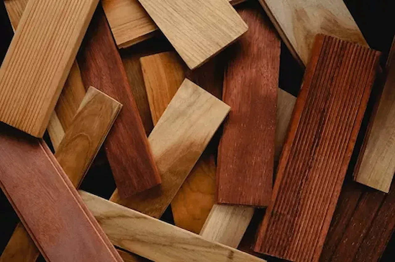 Apa yang Dimaksud dengan Jenis Kayu Ringan.webp