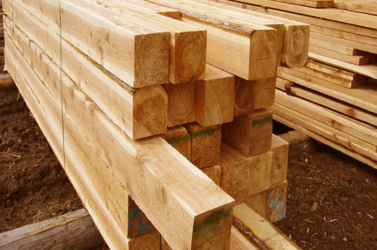 Kayu Cedar.webp