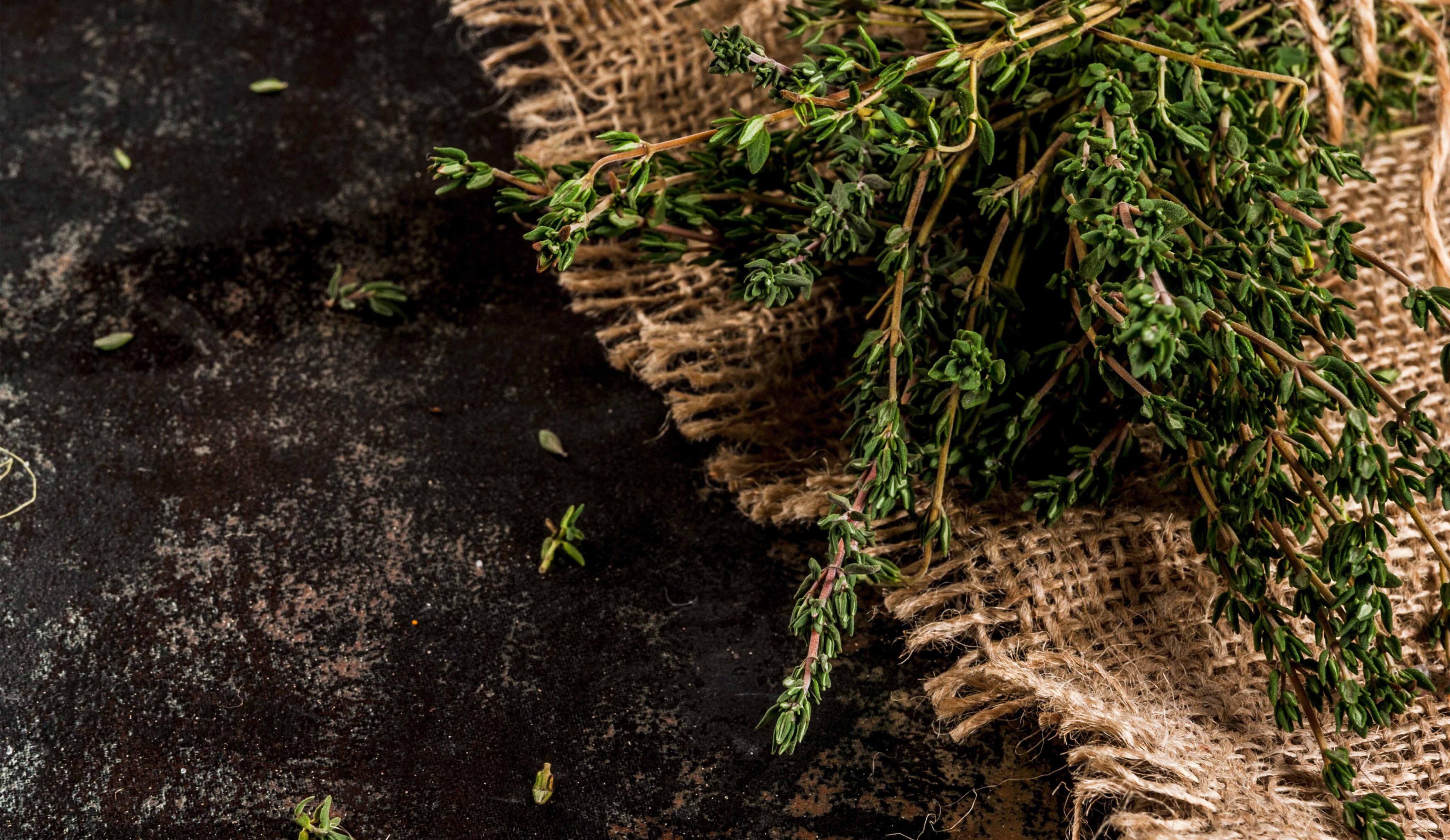 Bela-luz thyme: the perfect salt substitute