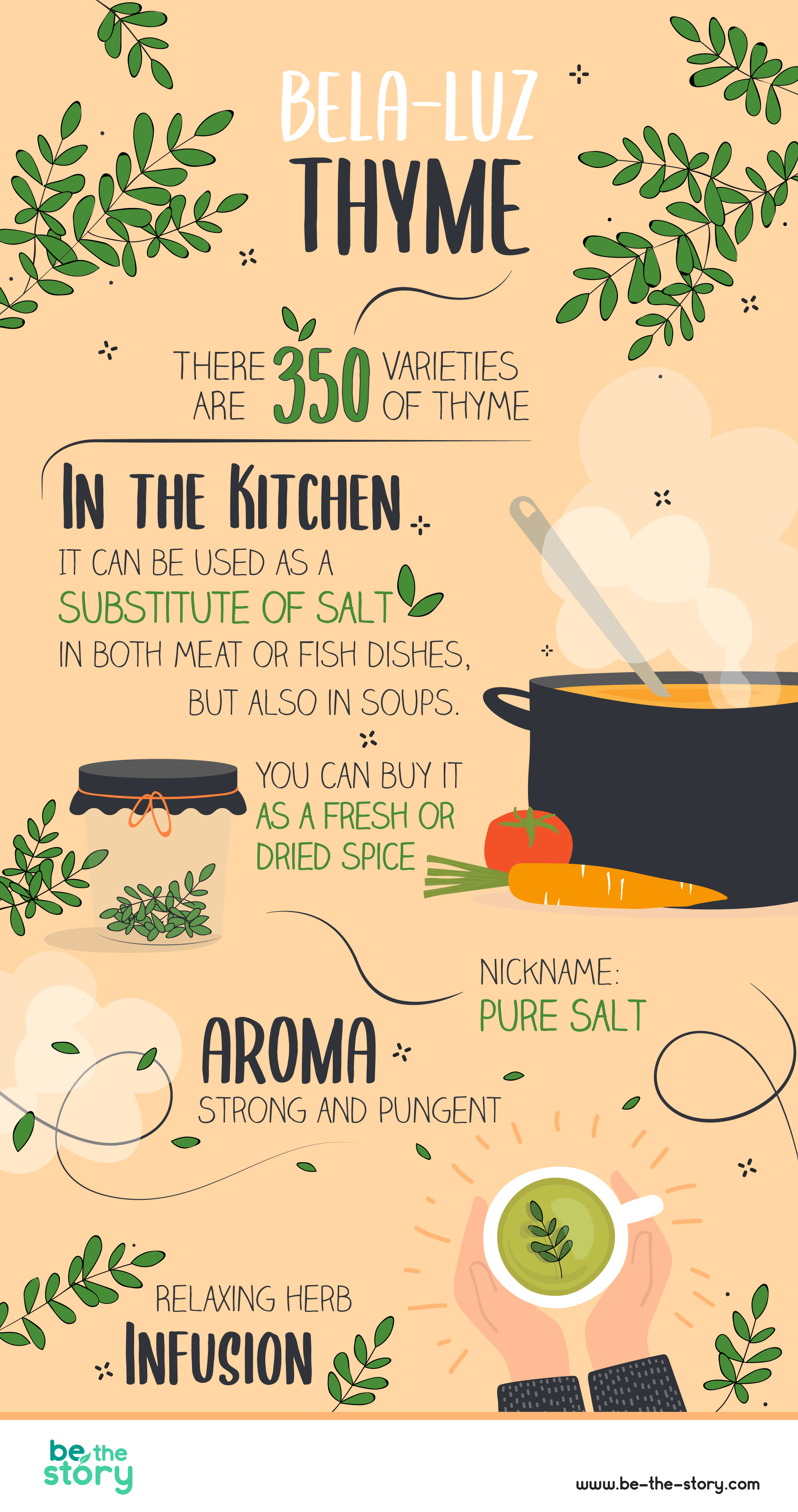 bela-luz thyme infographic