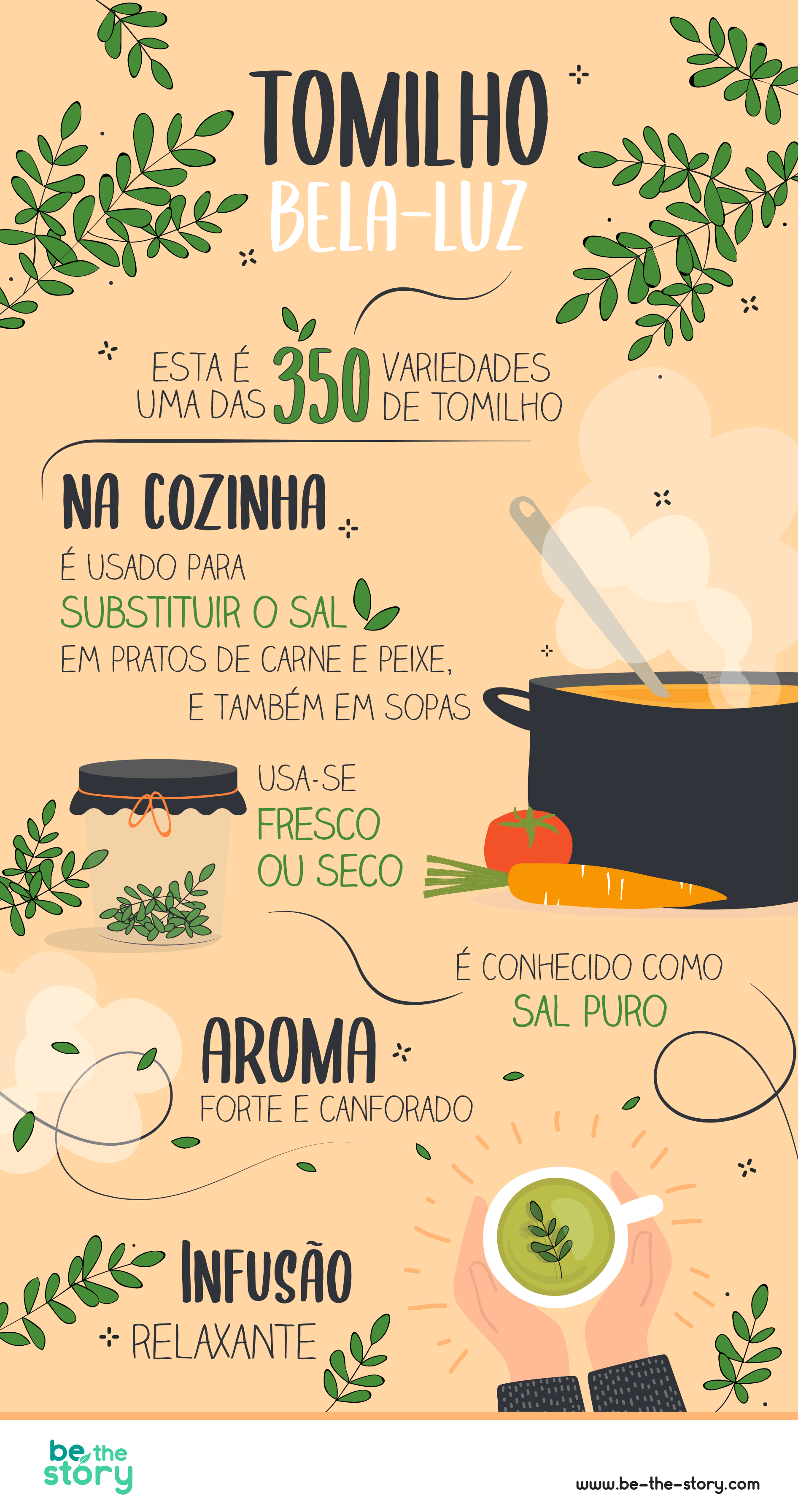 Infografia tomilho bela-luz