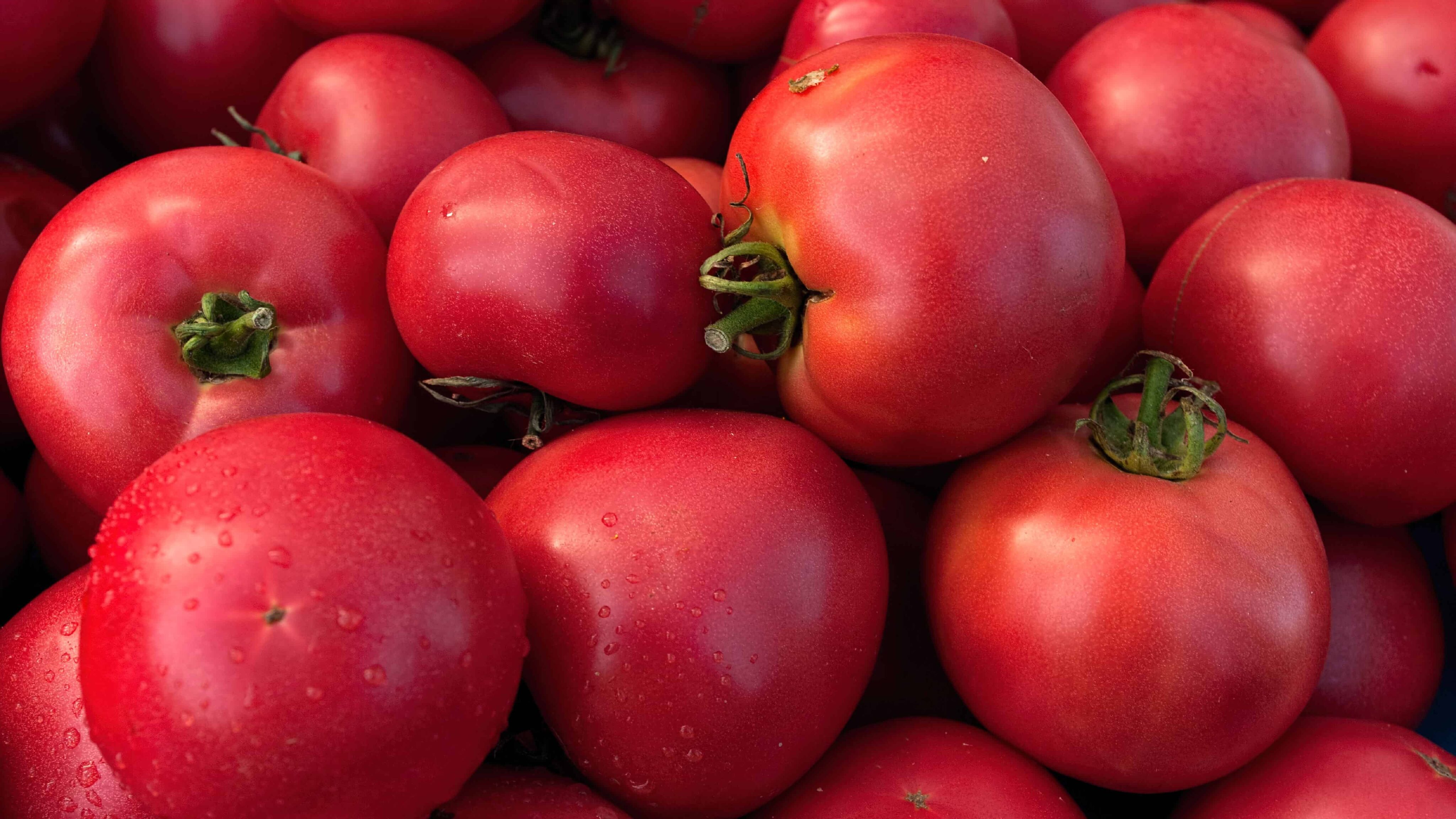 Malinowy or raspberry tomatoes huddled together.