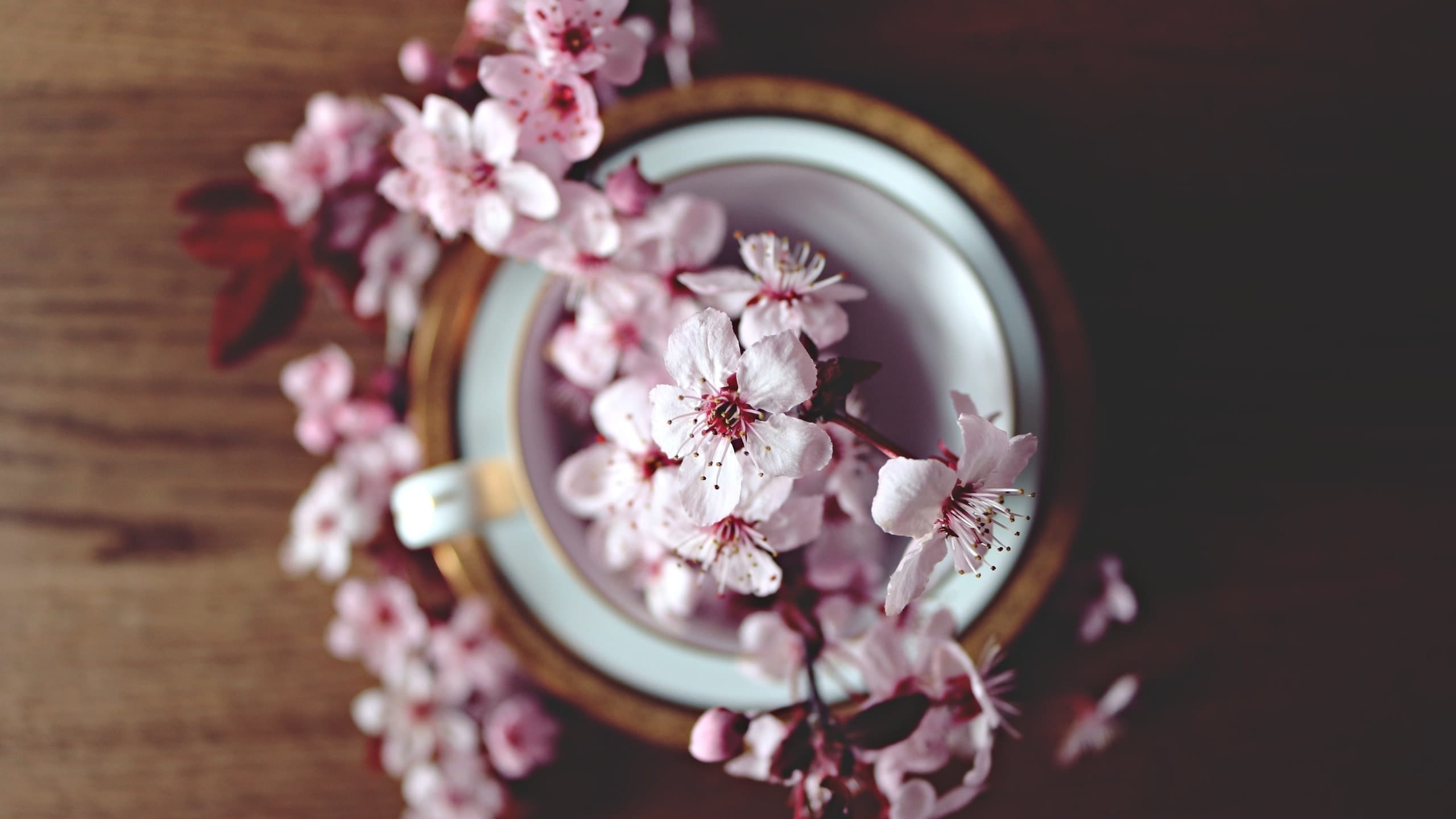 Tigela cerâmica com flores de cerejeira.