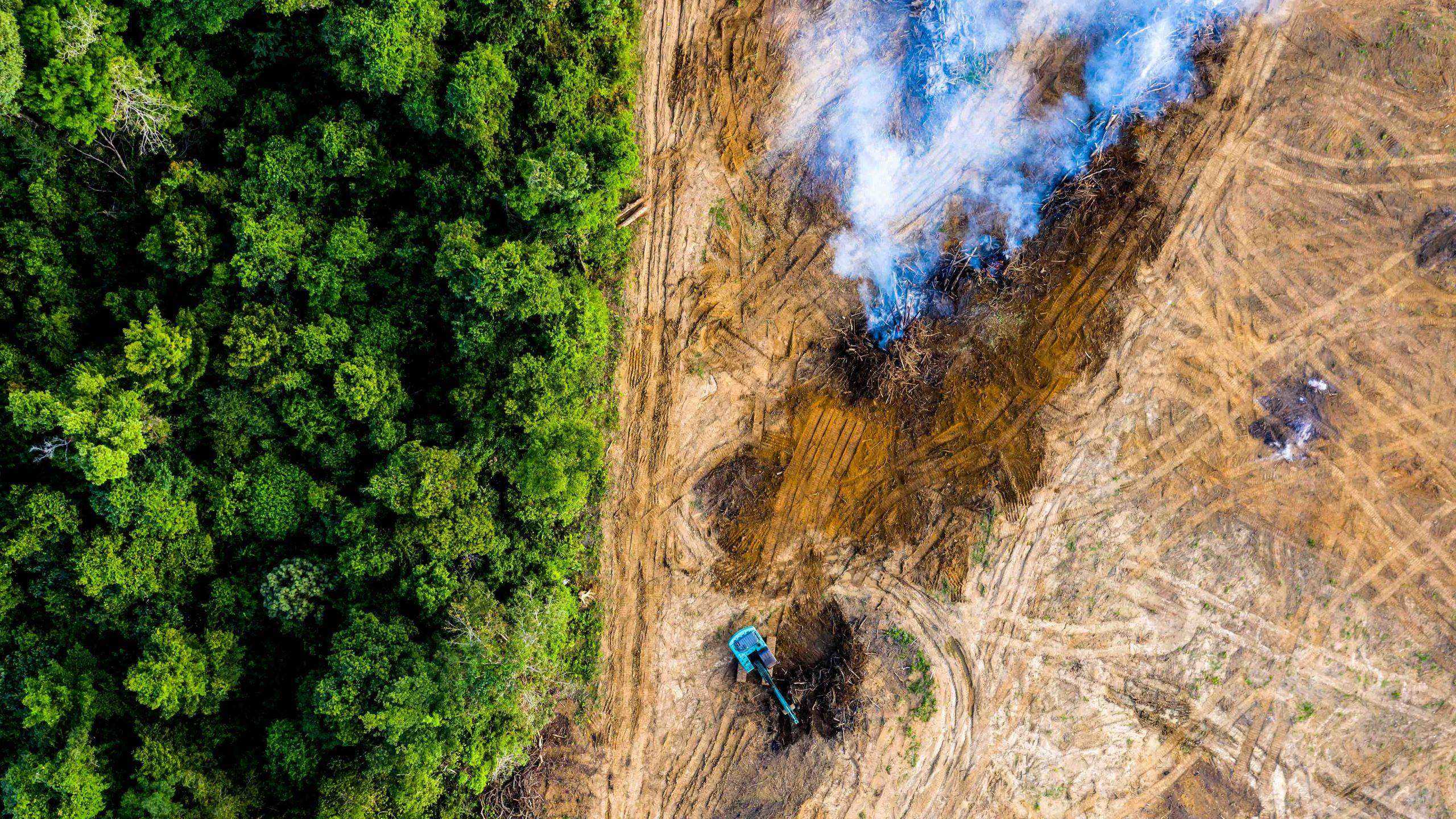 Vista aérea de floresta parcialmente destruída.