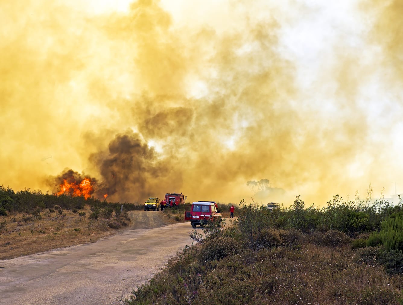 Carros de bombeiros junto a incêndio em zona rural.