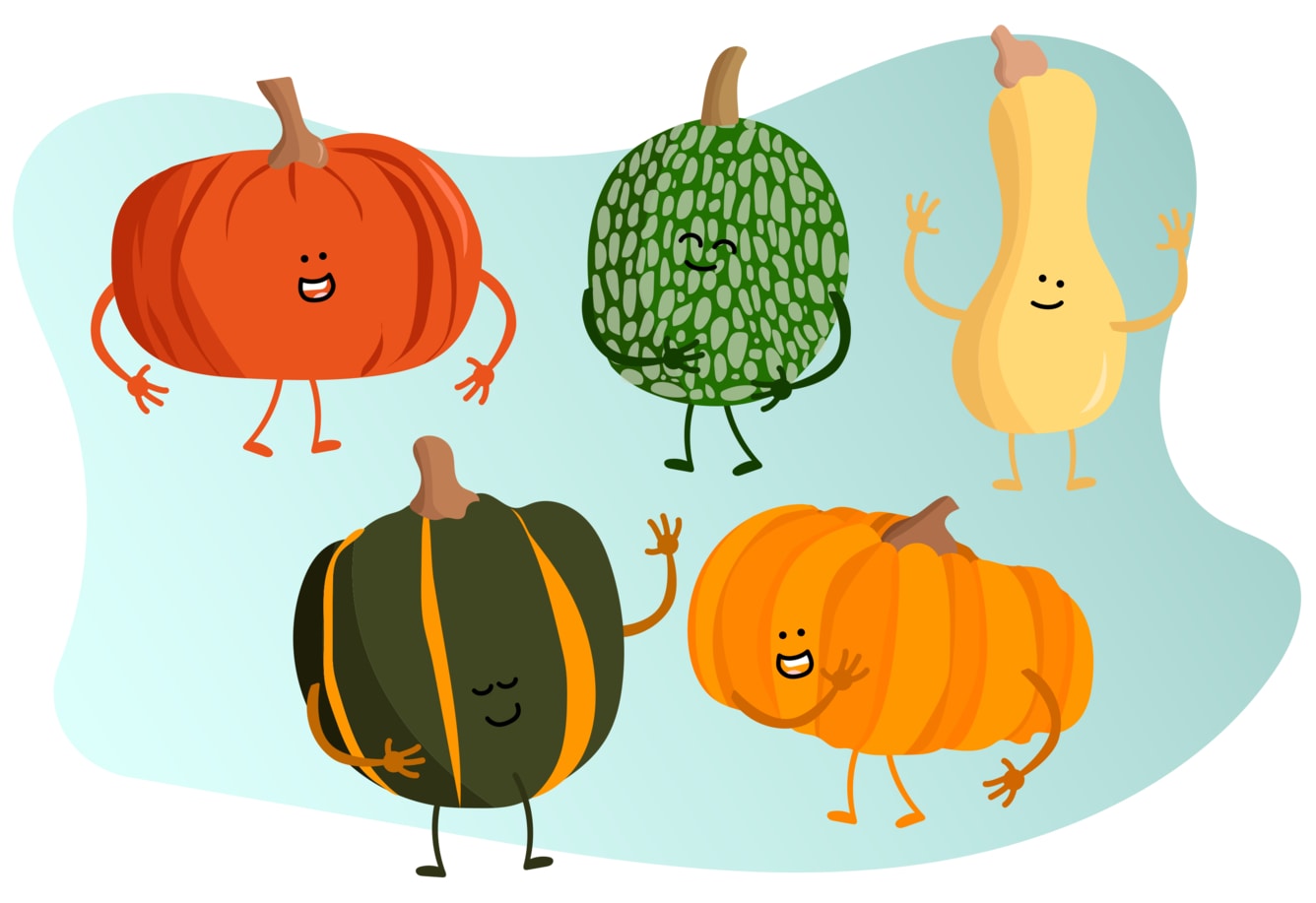 Most common edible varieties of squash
