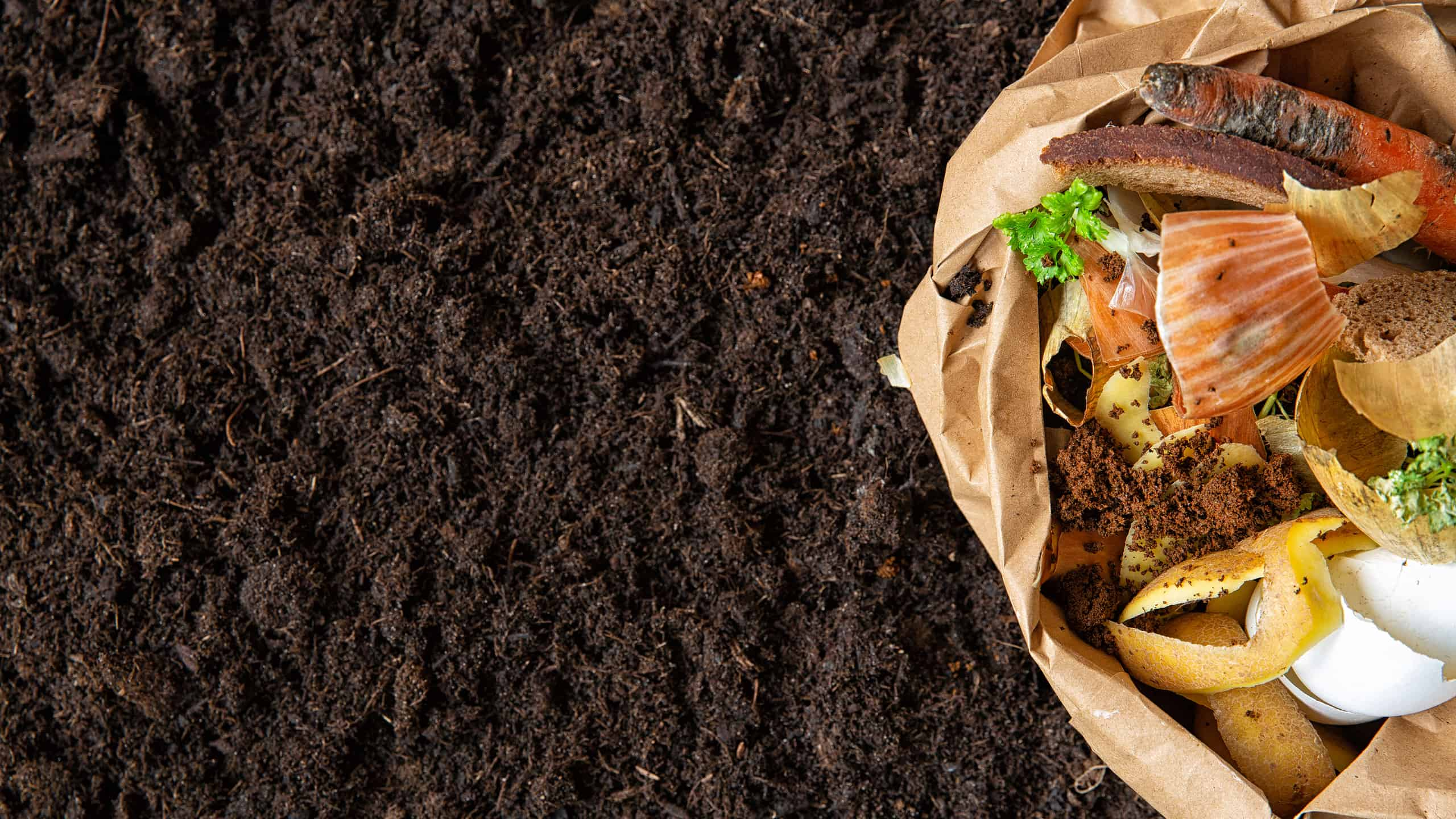 Paper bag with food scraps (carrots, bread, onions, potato peelings, eggshells) on a dirt floor.