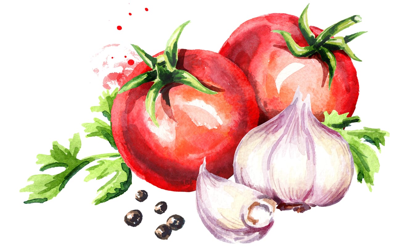 Tomatoes and garlic illustration.