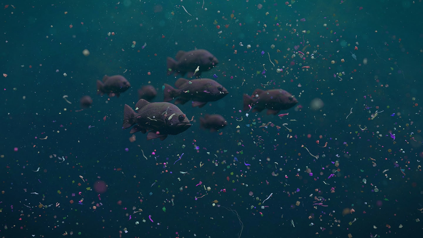 Shoal of fish surrounded by microplastics.