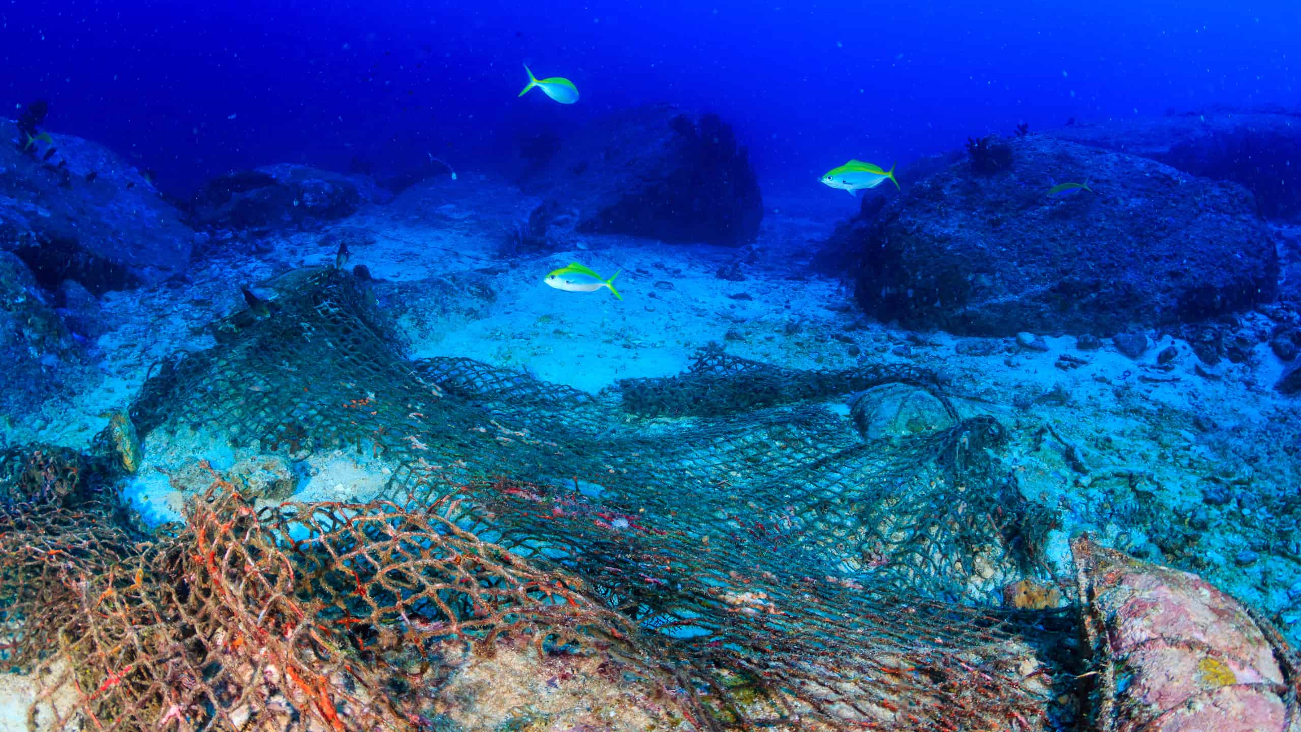 Abandoned fishing nets in the bottom of the ocean.