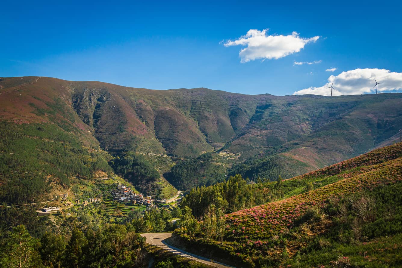 Serra do Açor Forest