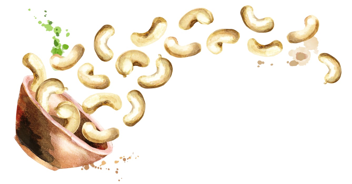 Cashew in a bowl illustration.