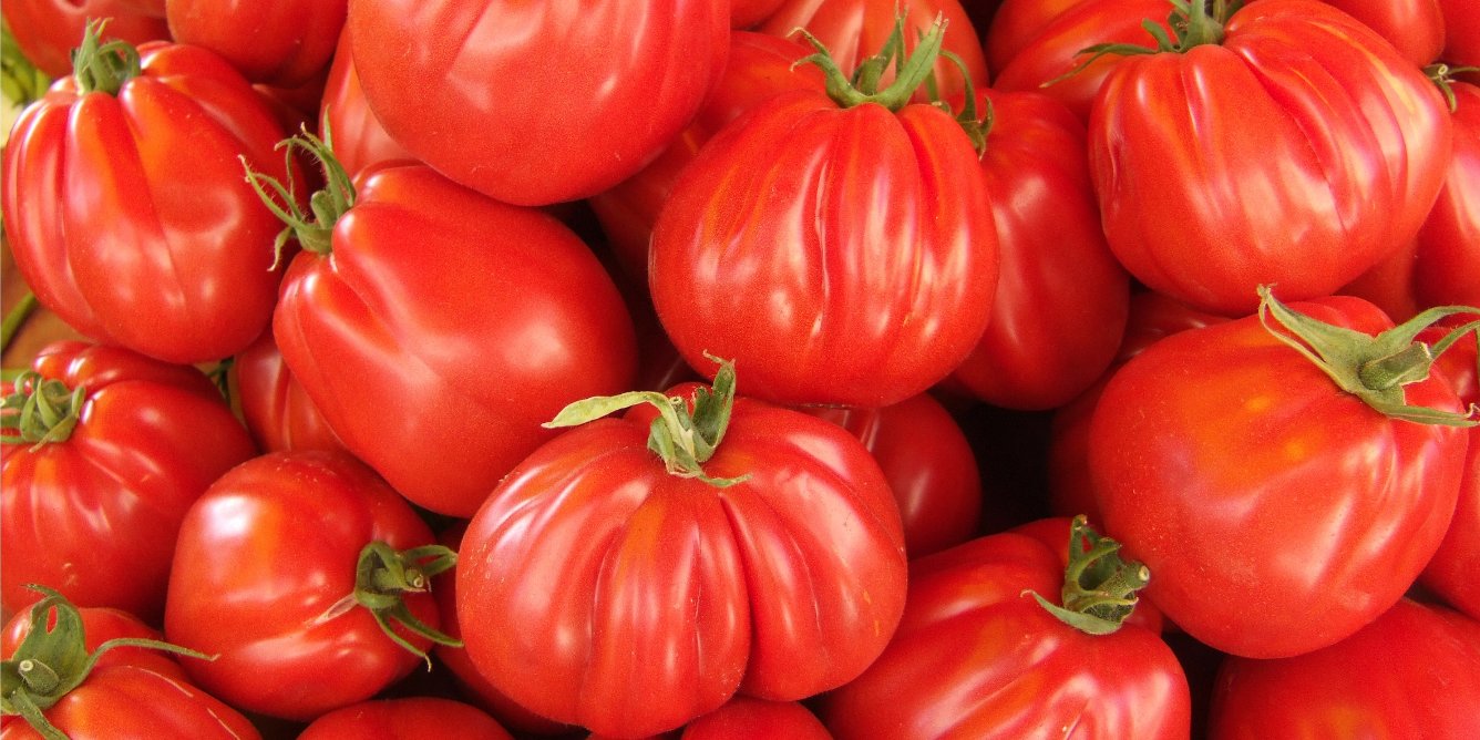 Beefsteak tomatoes.