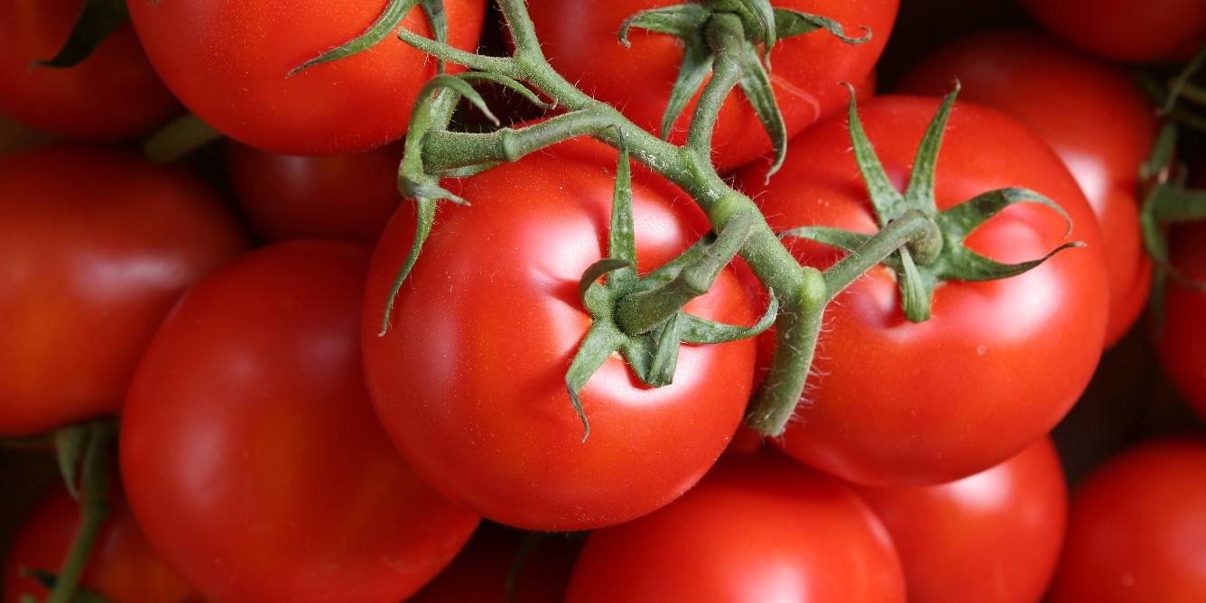 Tomatoes with leaves.