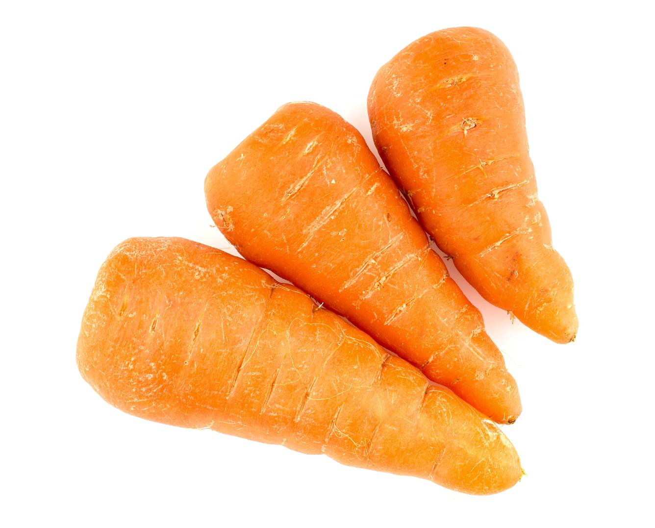 Three Chantenay carrots.