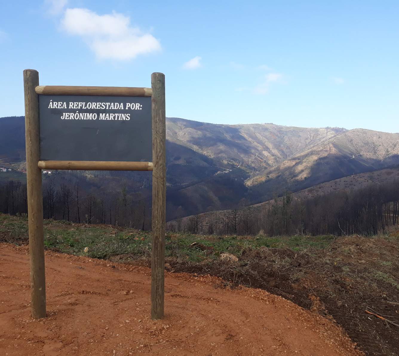 Área reflorestada por Jerónimo Martins na Serra do Açor.