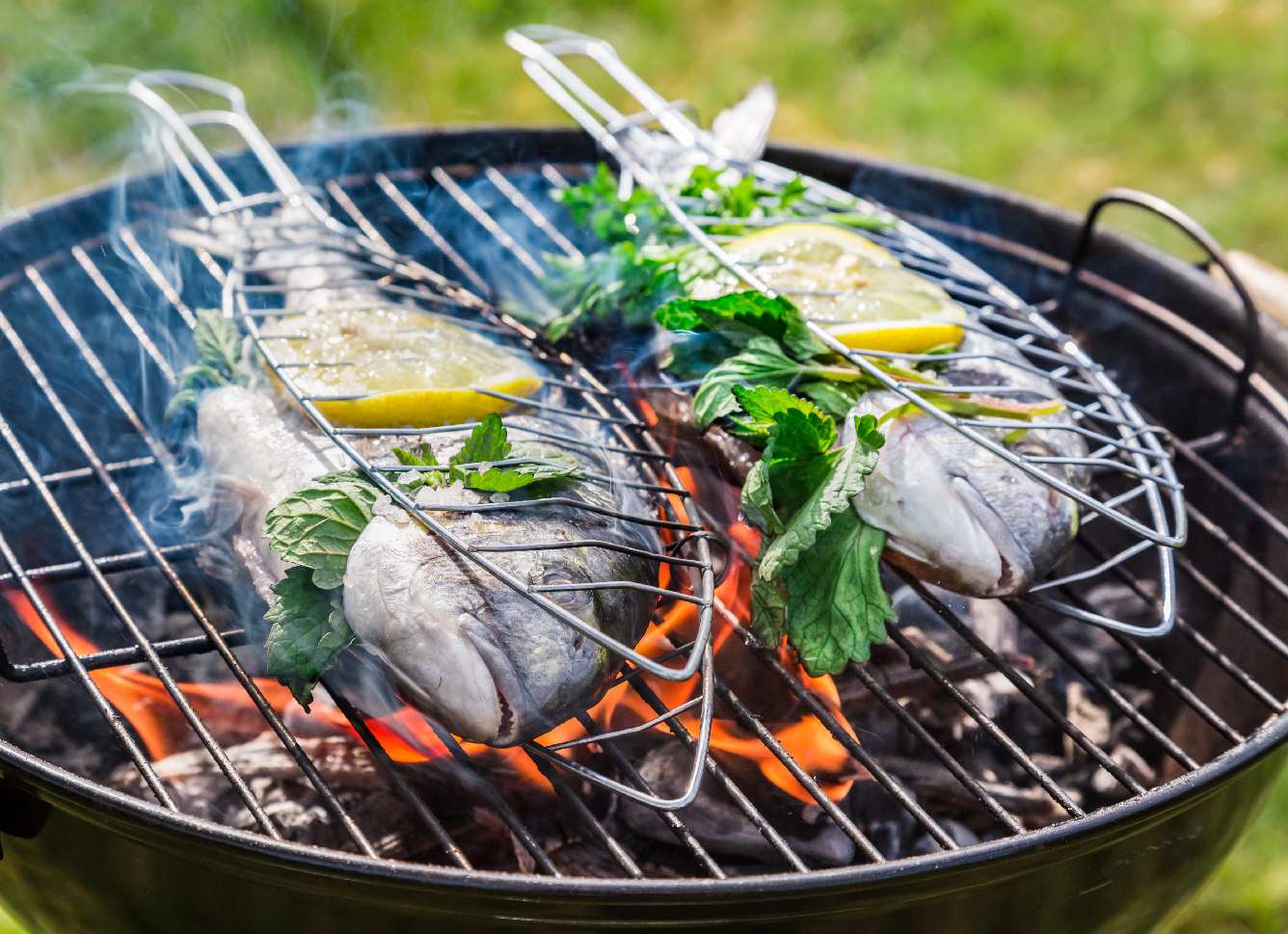 Sea bream in the grill.