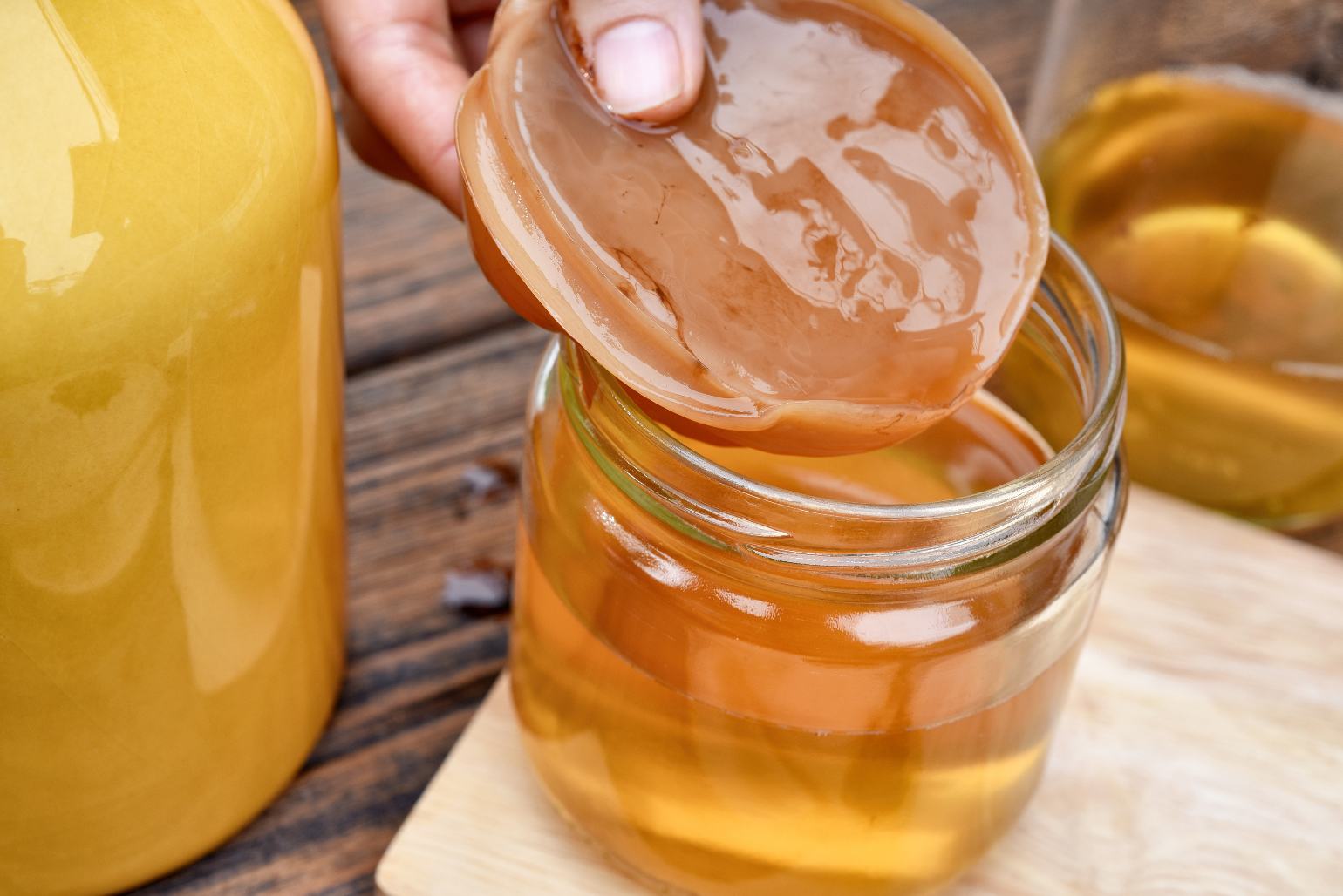 Mão segurando o SCOBY (cultura simbiótica de bactérias e leveduras).