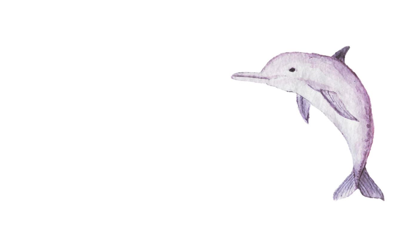 Golfinho cor-de-rosa