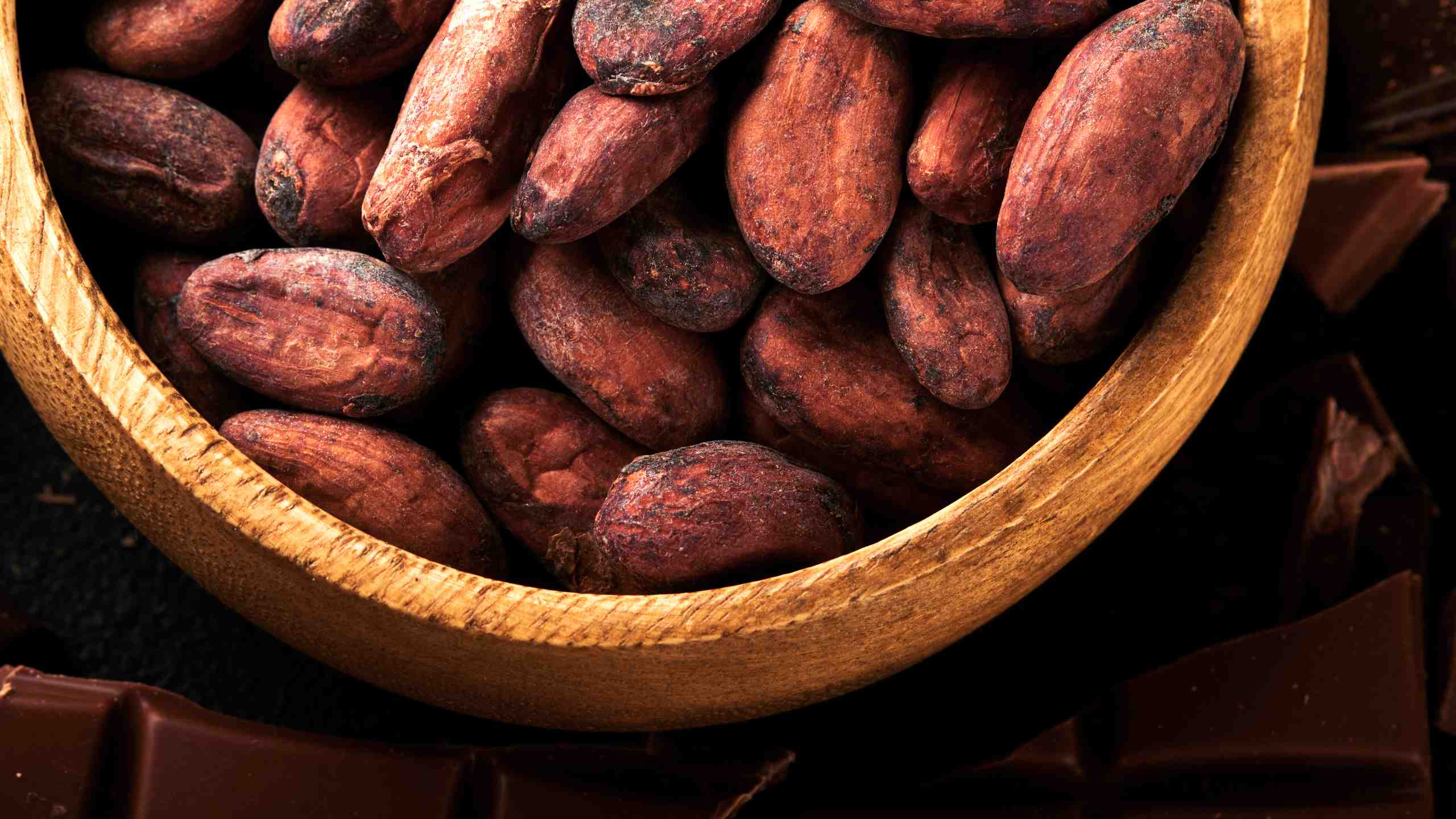 Wooden bowl with roasted cocoa beans.