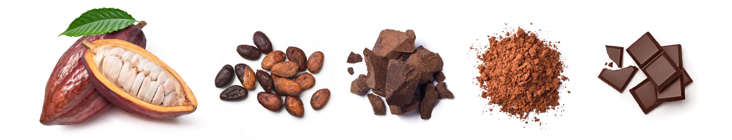 Several stages of the cocoa production process: raw cocoa beans, roasted cocoa beans, processed cocoa, ground cocoa nibs, chocolate bar.