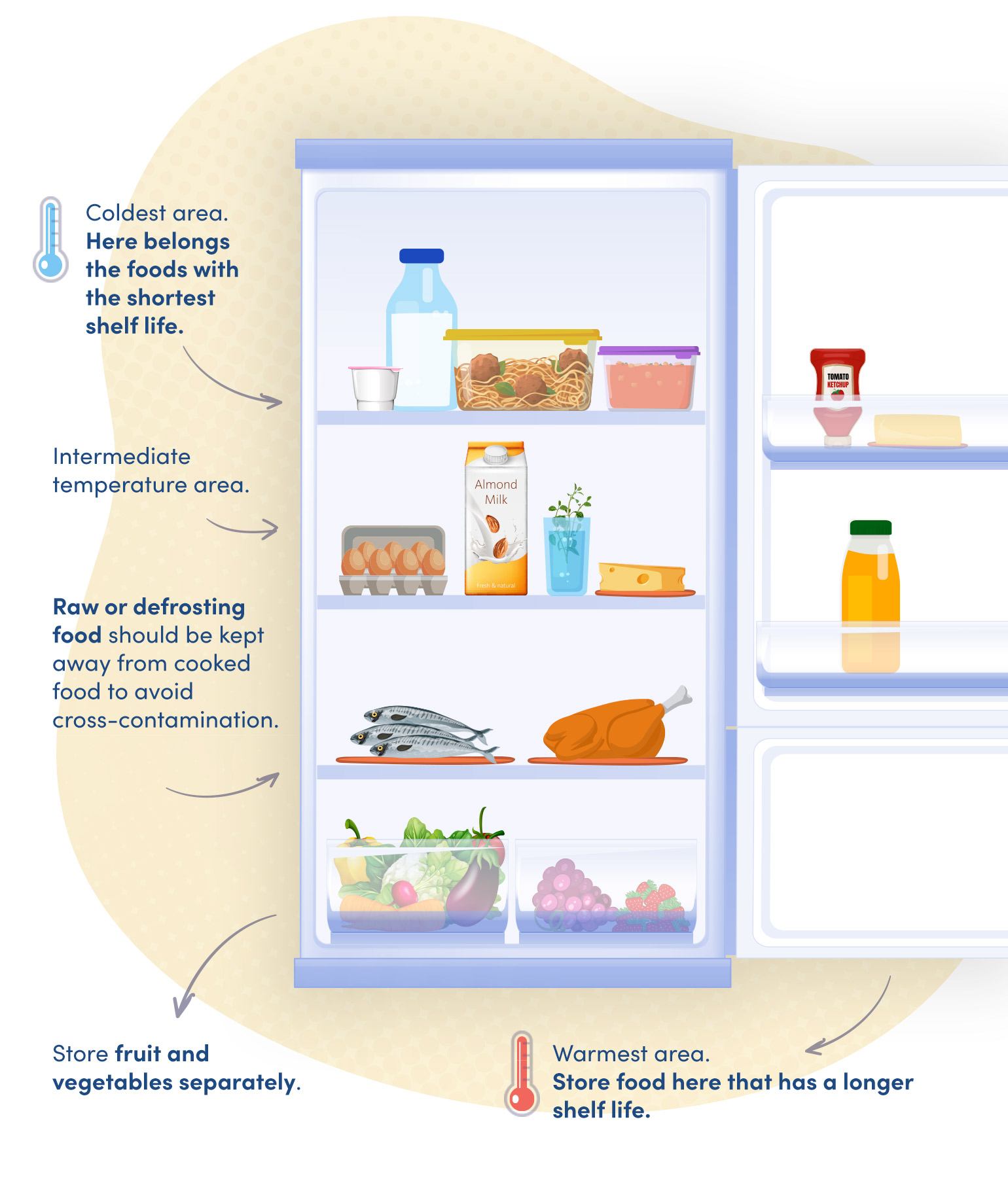 Illustration of food organised in the fridge