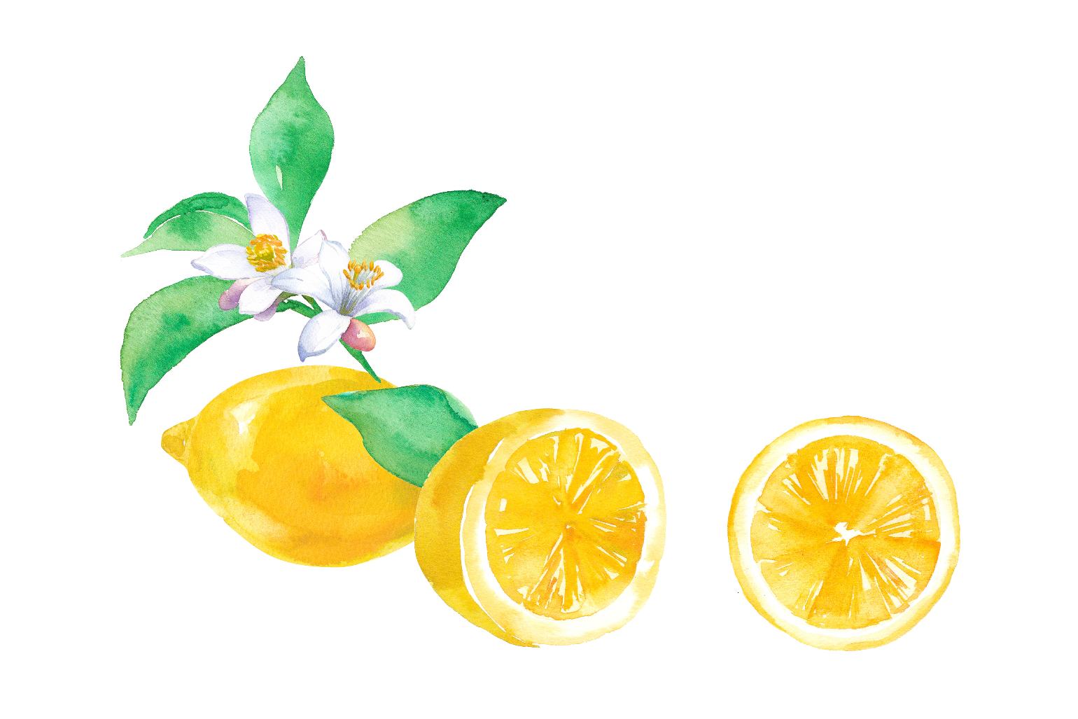 Illustration of a whole lemon and a lemon sliced in half.