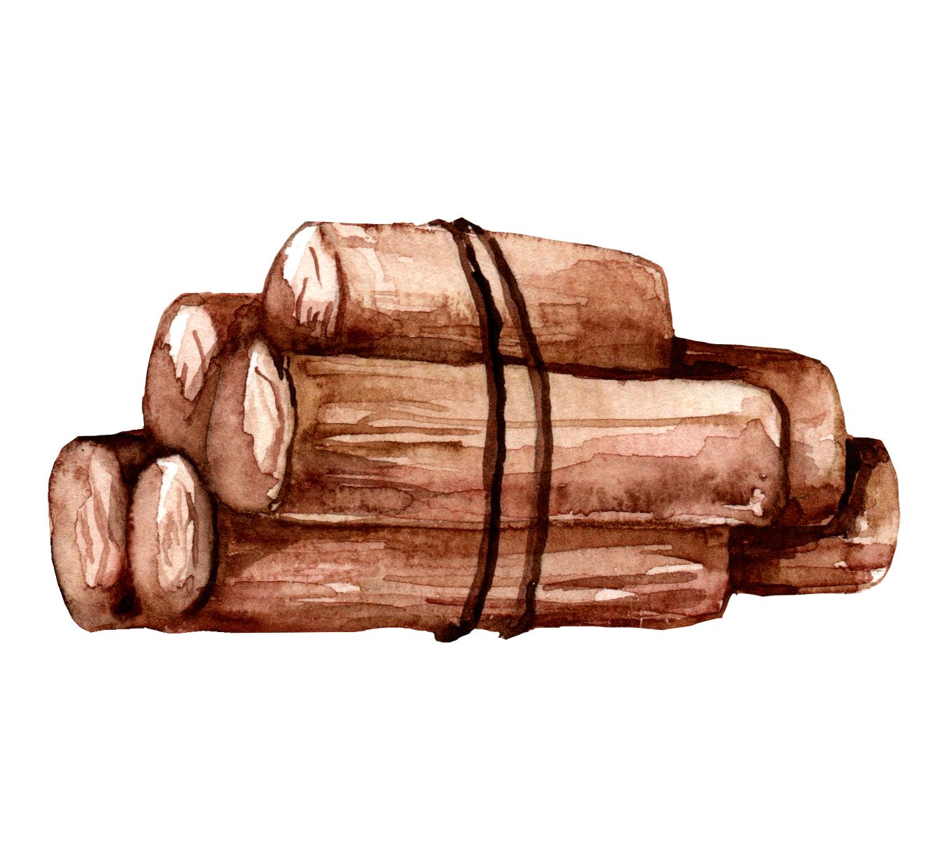 Ilustração de troncos de árvores cortados.