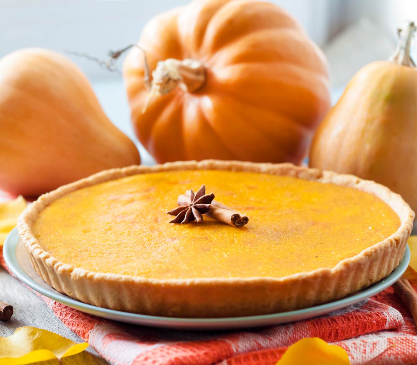 Pumpkin pie