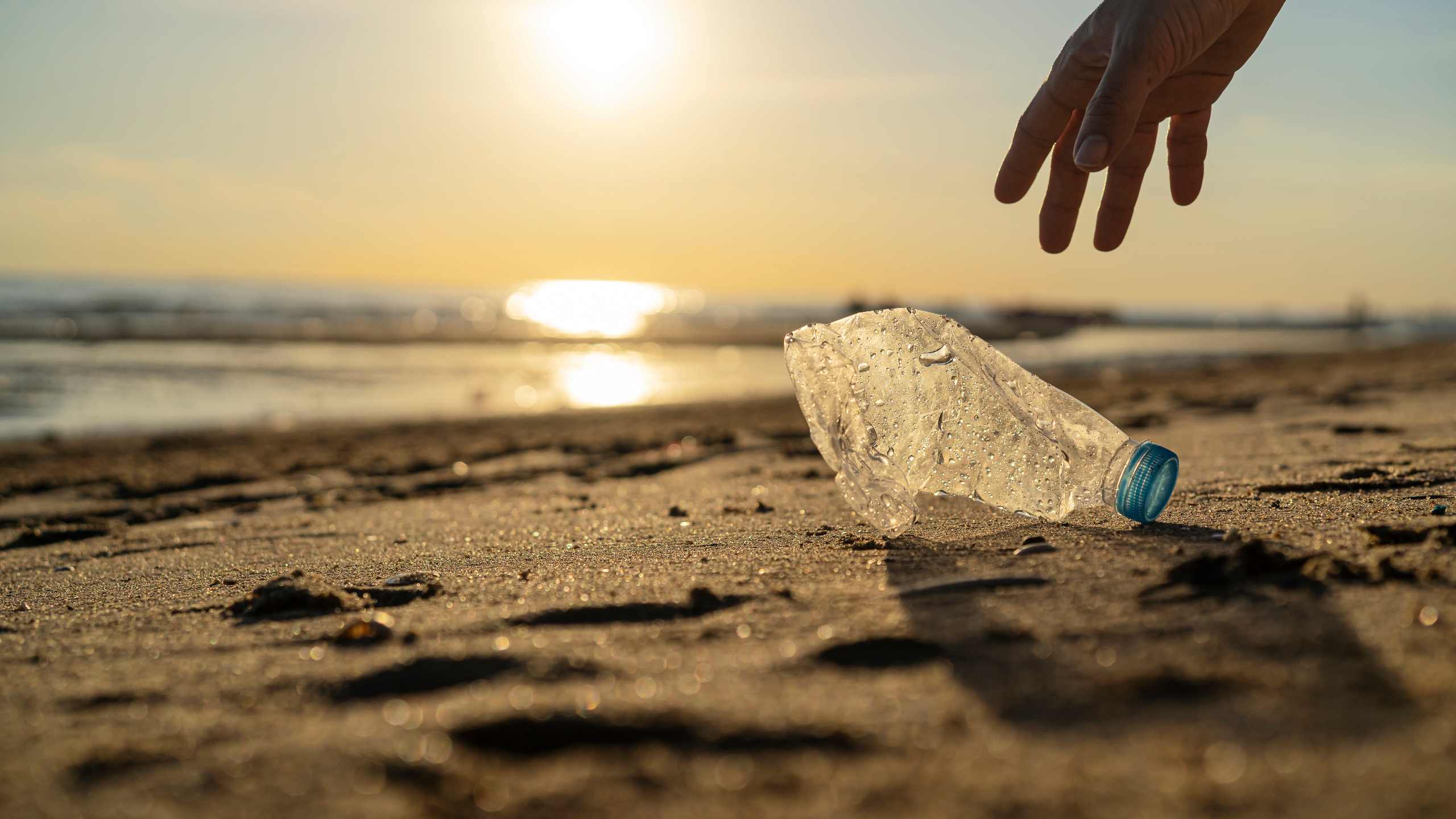 Garrafa de plástico usada a ser apanhada na praia.