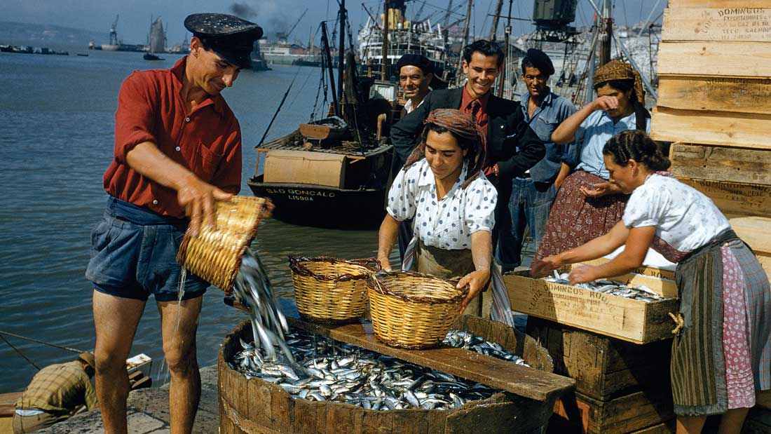 Fisherman unloading his night’s sardine catch to be sold in Lisbon’s markets, during the 50s.