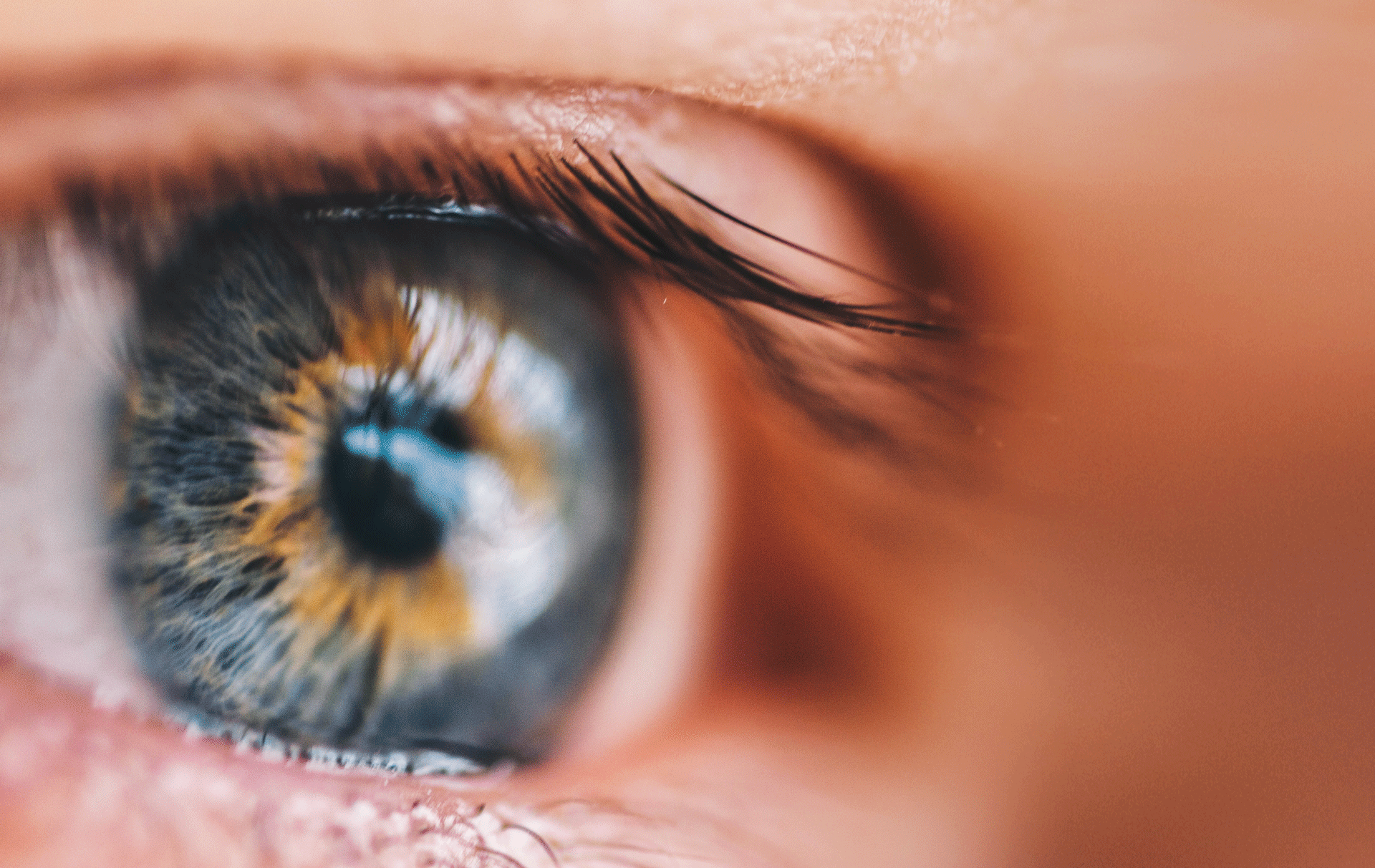 Macro shot of the beauty that is the human eye.