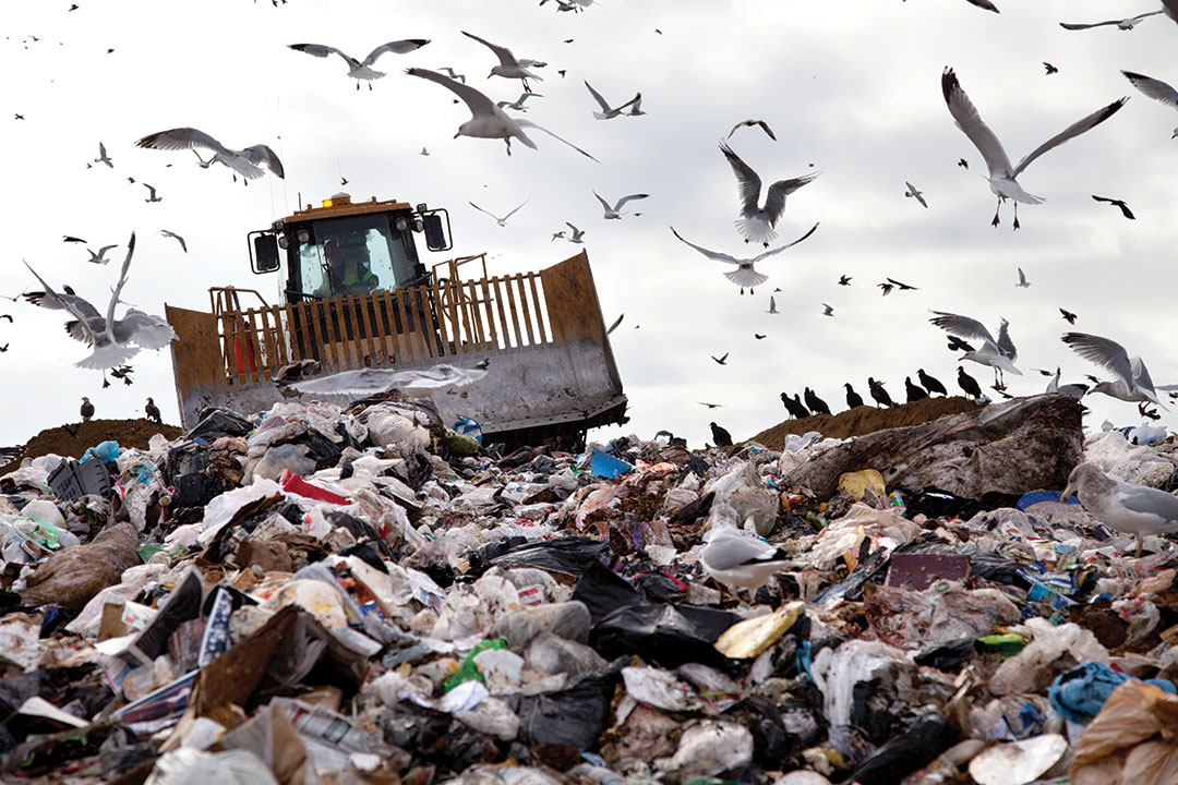 Bulldozer working on landfill with birds in the sky