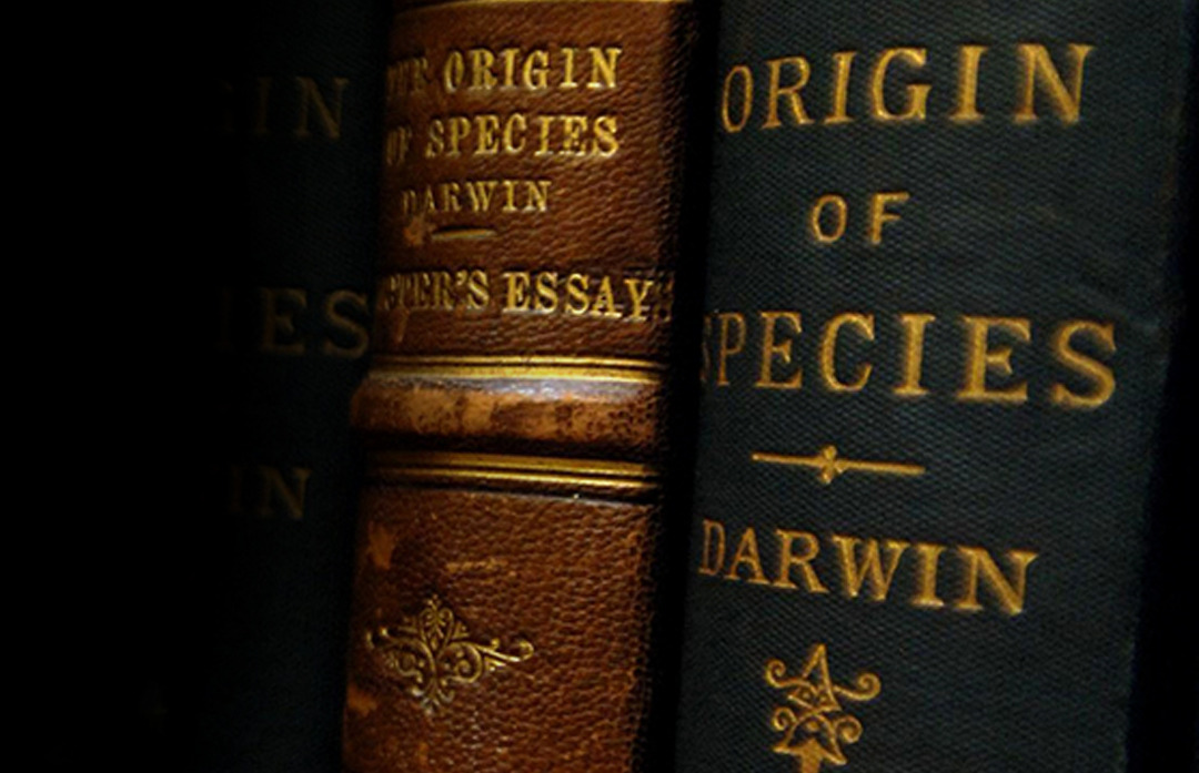 Rachel Perkins, the library collections manager at the Natural History Museum, holds a copy of Charles Darwin's book, 'The Origin of the Species, by means of Natural Selection', signed by Darwin to his friend Bernhard Tegetmeier.