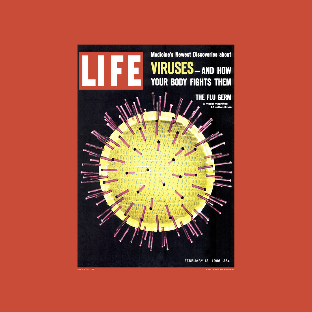 Cover of LIFE magazine dated 02-18-1966 w. headline Viruses and model of flu virus by Ted Klotz; photo by Yale Joel.