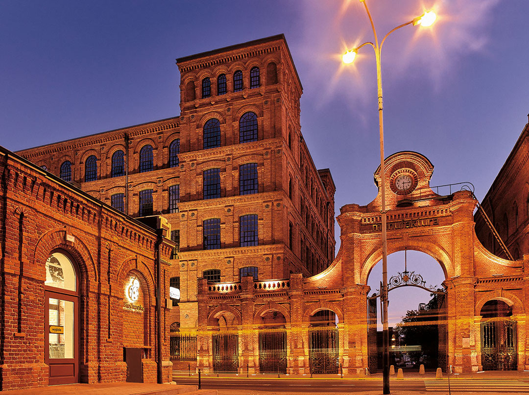 Portrait of Biedronka at night