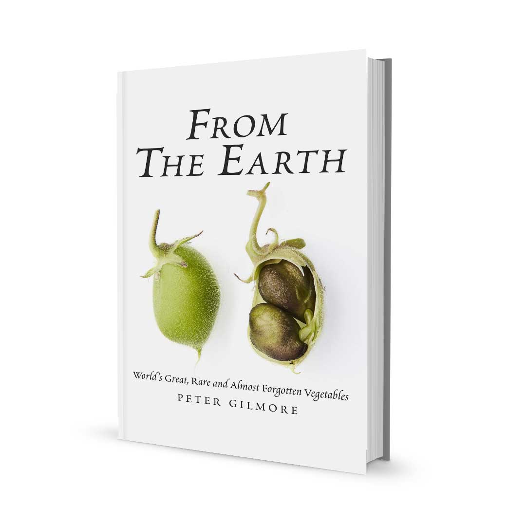 "From the Earth" book in a white background