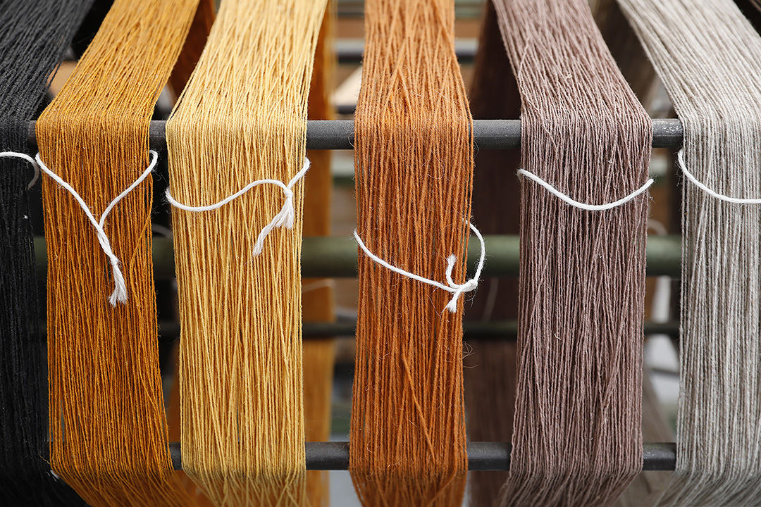 threads in different colors